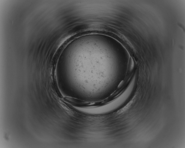 X0000093170830200709261526