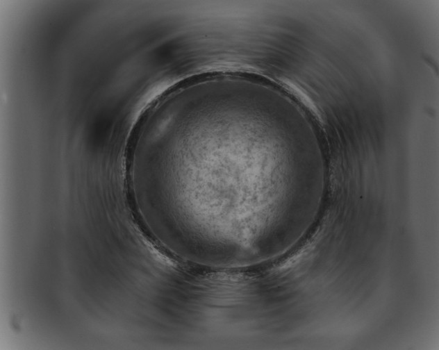 X0000093170831200709261526