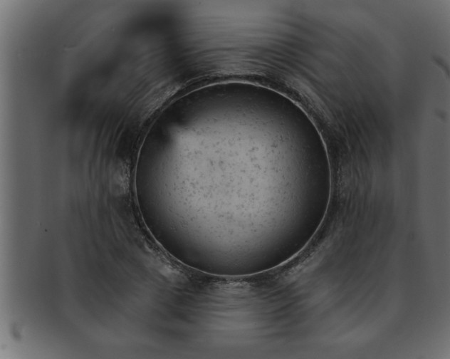 X0000093170833200709261526