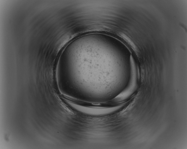 X0000093170834200709261526