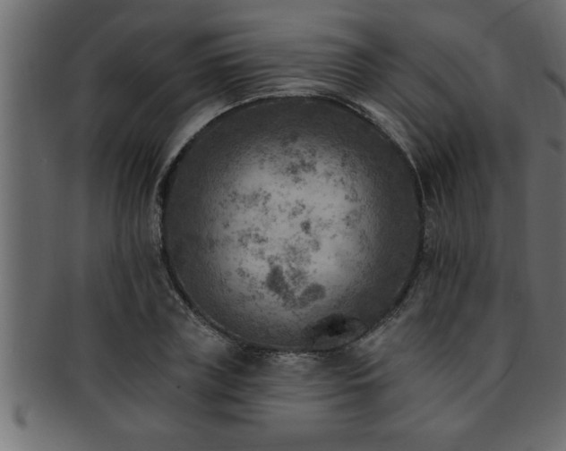 X0000093170835200709261526