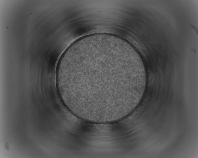 X0000093170836200709261526