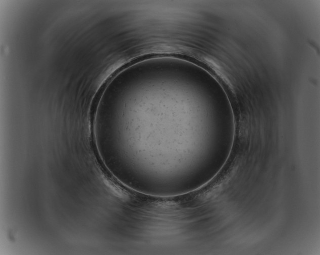X0000093170837200709261526