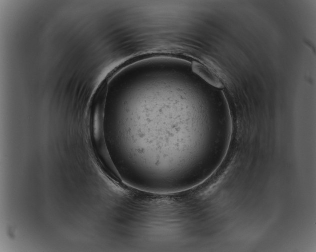 X0000093170838200709261526