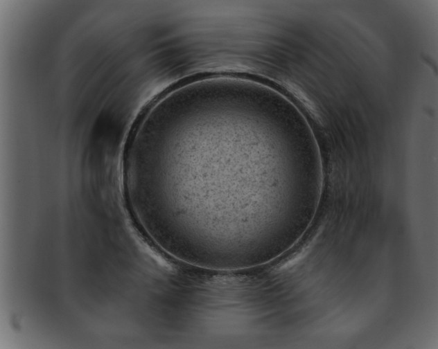 X0000093170840200709261527