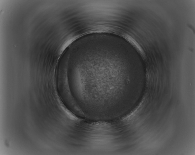 X0000093170842200709261527