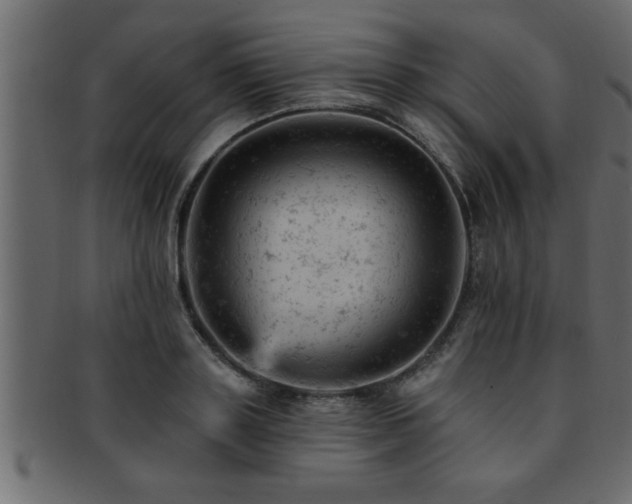 X0000093170843200709261527