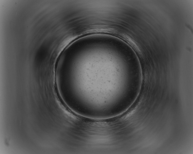 X0000093170844200709261527