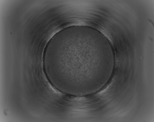 X0000093170845200709261527