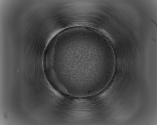 X0000093170846200709261527