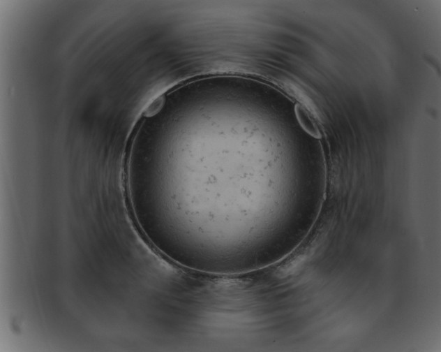 X0000093170847200709261527
