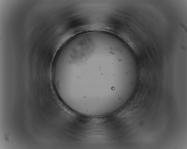 X0000093170848200709261527