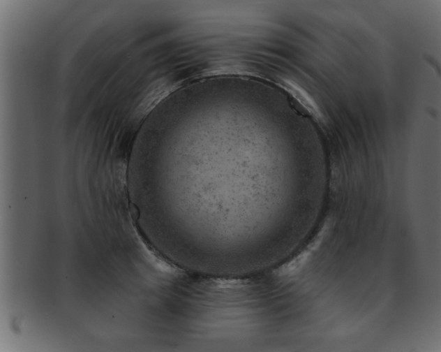 X0000093170849200709261527