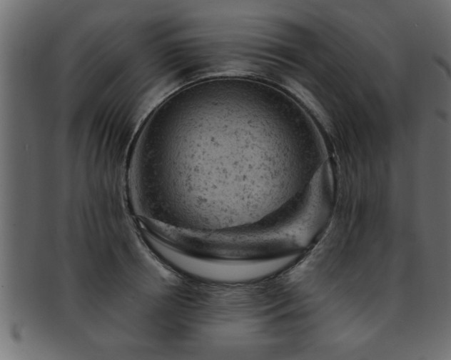 X0000093170850200709261527
