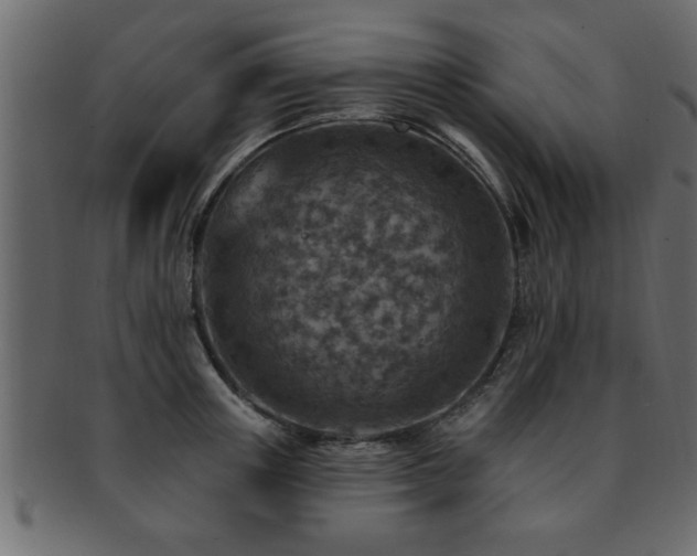 X0000093170851200709261527