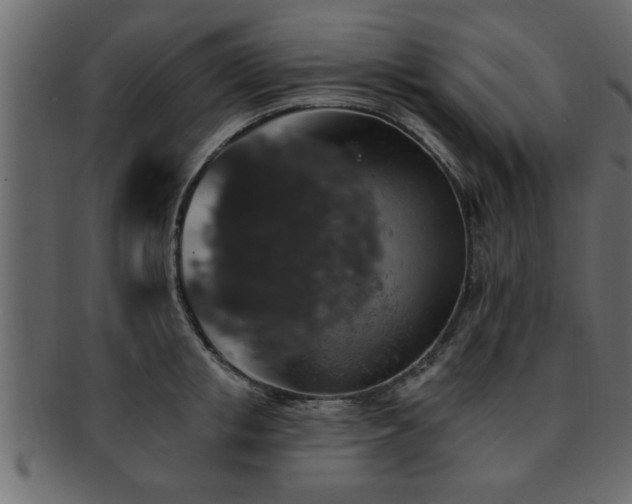 X0000093170853200709261527
