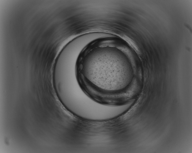 X0000093170854200709261527