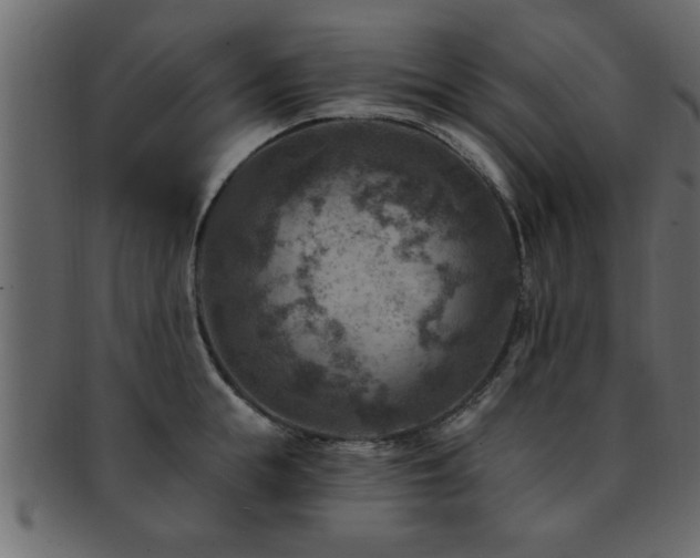 X0000093170855200709261527