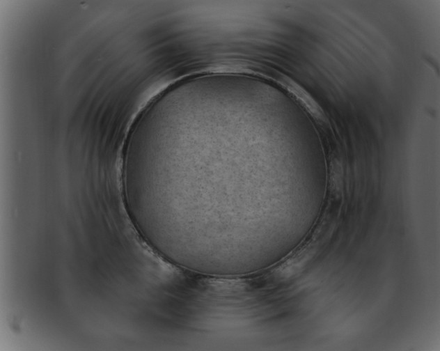 X0000093170856200709261527