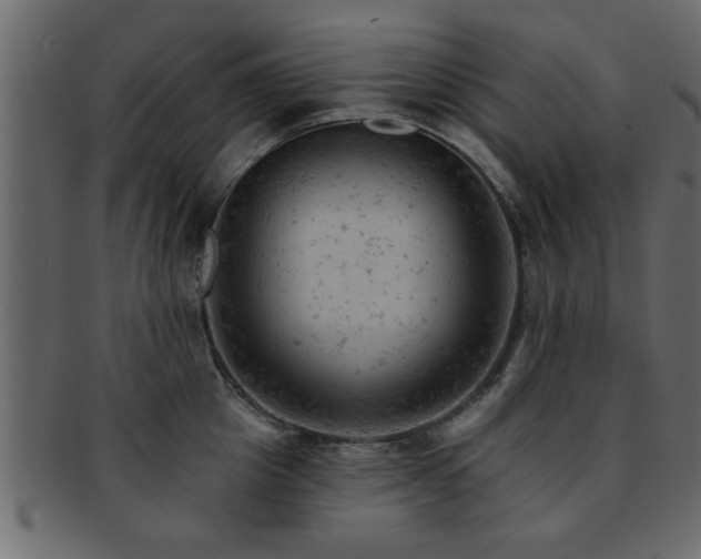 X0000093170857200709261527