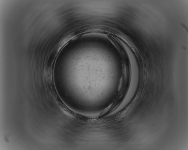 X0000093170858200709261527