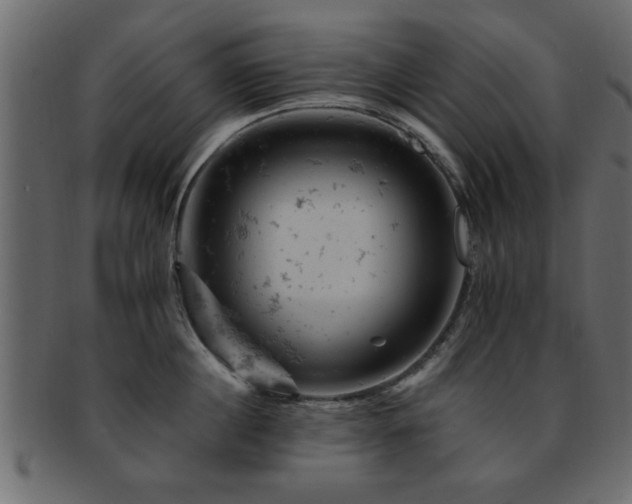 X0000093170860200709261527