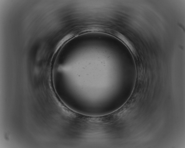 X0000093170861200709261527