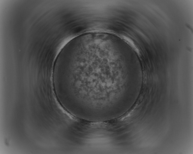 X0000093170863200709261527