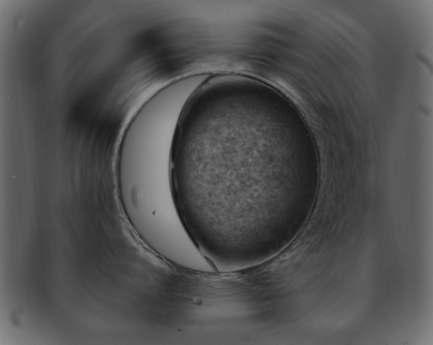 X0000093170864200709261527