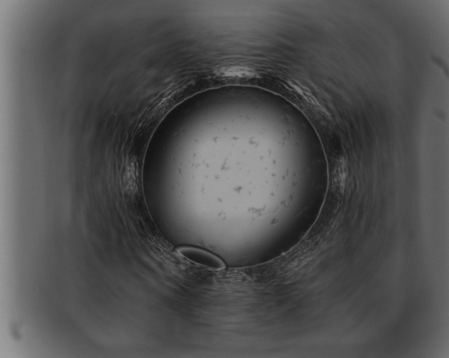 X0000093170866200709261526