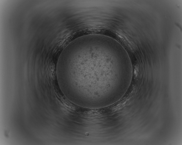 X0000093170867200709261526