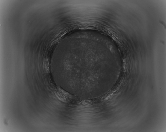 X0000093170868200709261526