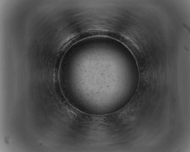 X0000093170870200709261526