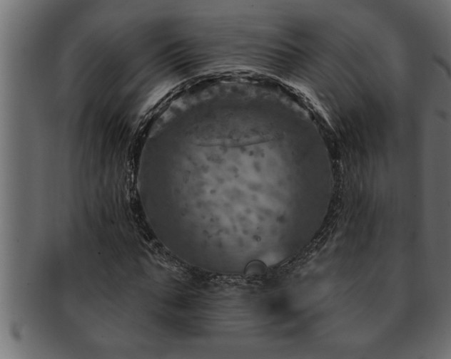 X0000093170871200709261526