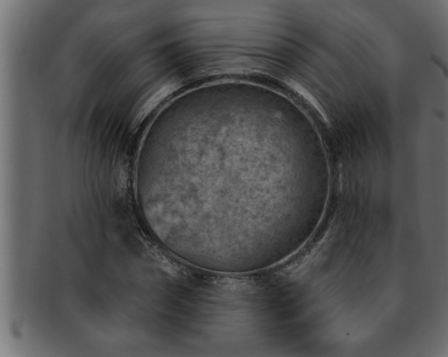 X0000093170874200709261526