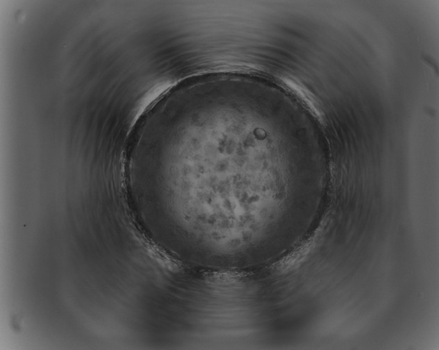 X0000093170875200709261526