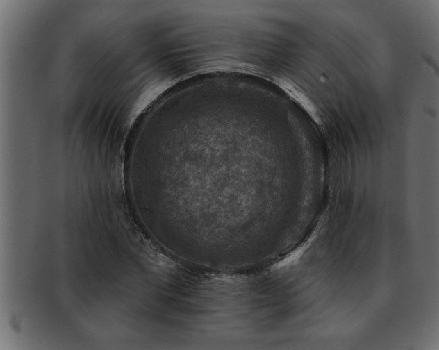 X0000093170877200709261526