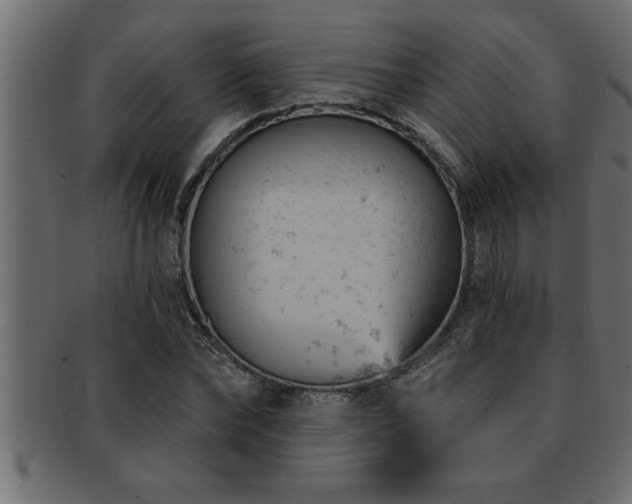 X0000093170878200709261526