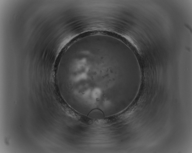 X0000093170879200709261526