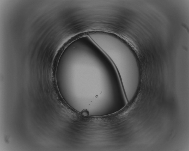 X0000093170880200709261526
