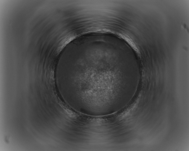 X0000093170881200709261526