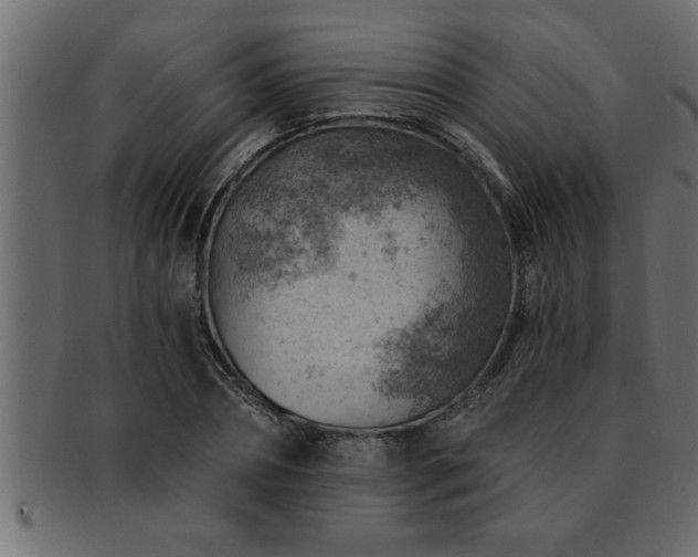 X0000093170882200709261526