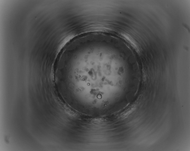 X0000093170883200709261526