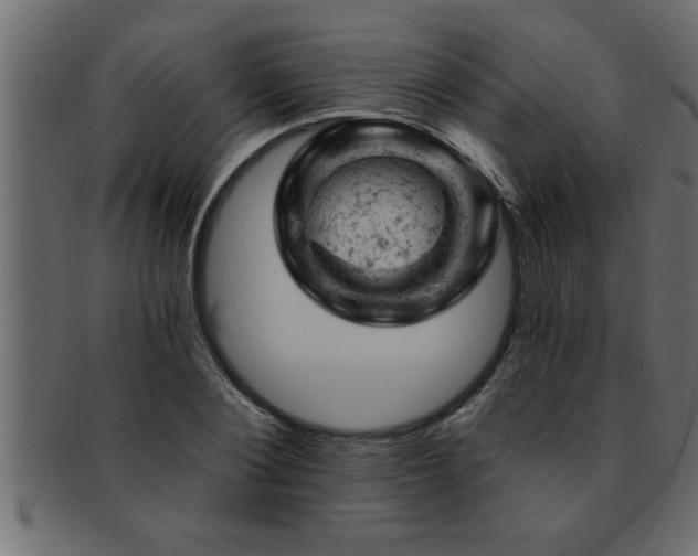 X0000093170884200709261526
