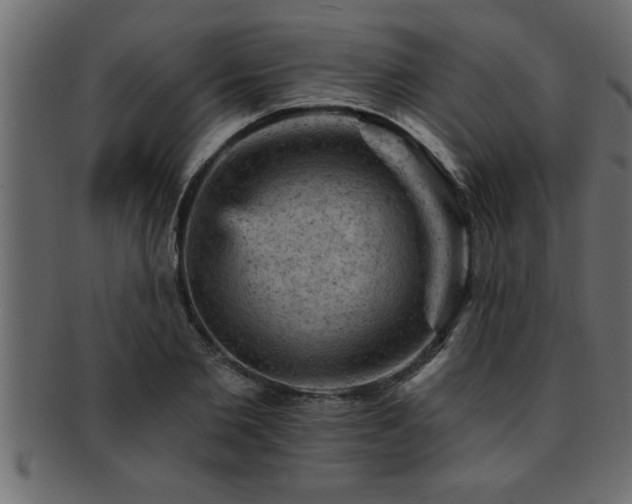 X0000093170885200709261526
