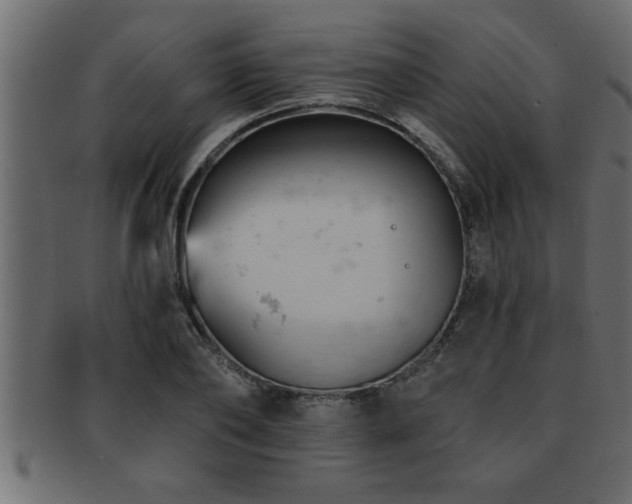 X0000093170886200709261526