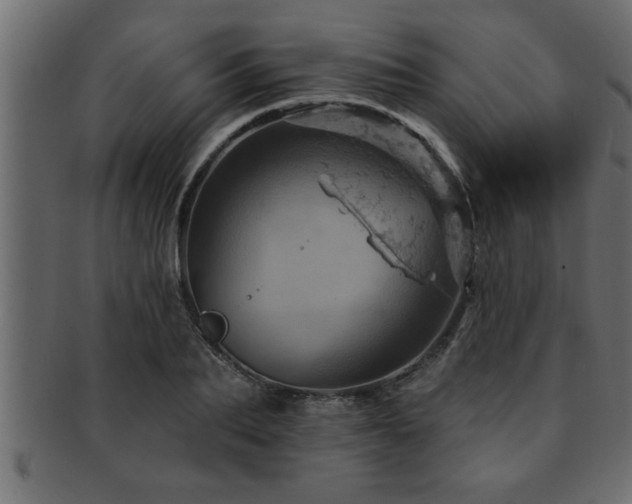 X0000093170887200709261526