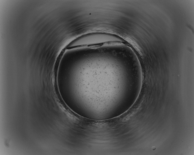 X0000093170888200709261526