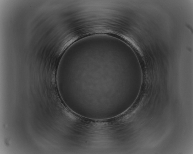 X0000093170889200709261526