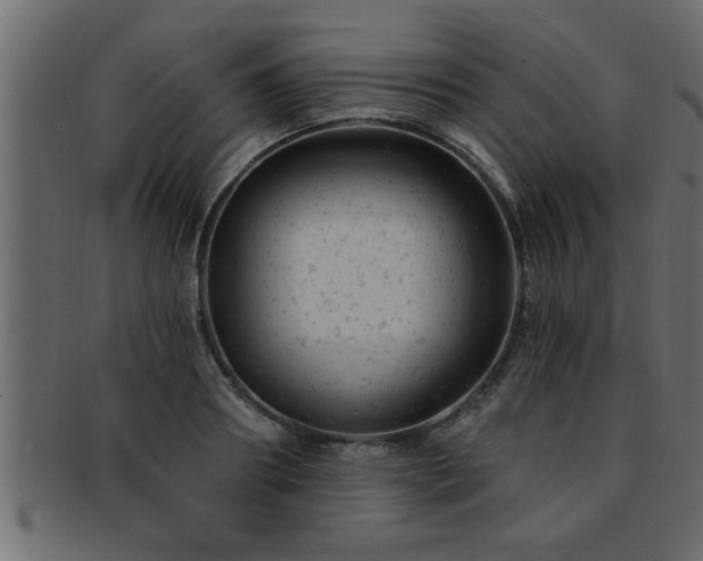 X0000093170890200709261526